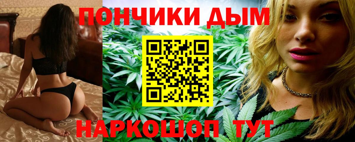 Канабис OG Kush Курчалой