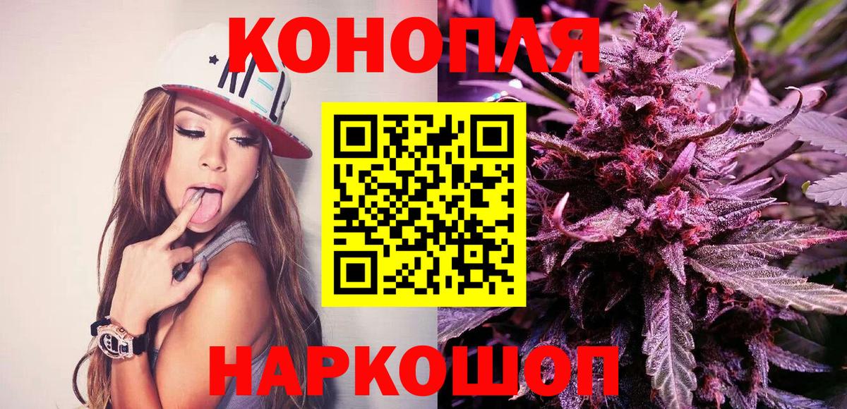Бошки Шишки MAZAR  Марихуана планчик  Вход с VPN  Курчалой 